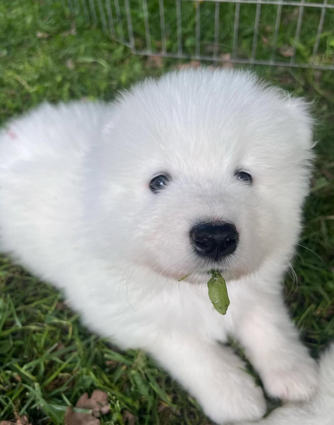 人呐，最重要的就是开心，你心情不好吗，我可以让你摸摸耶 