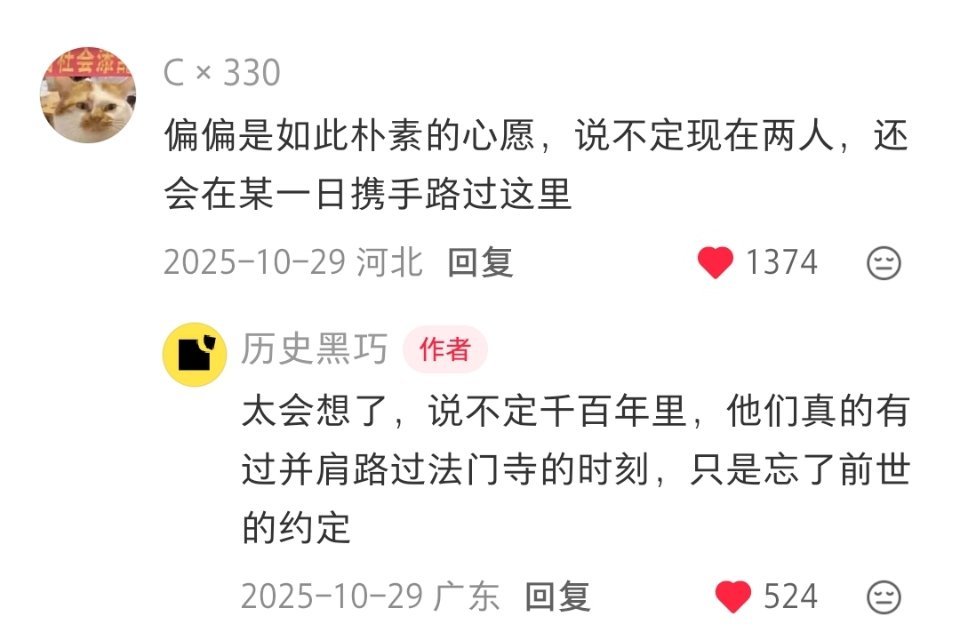 如果有机会去法门寺博物馆，我想亲眼看看这块木板。之前看过《法门寺猜想》从那部剧里