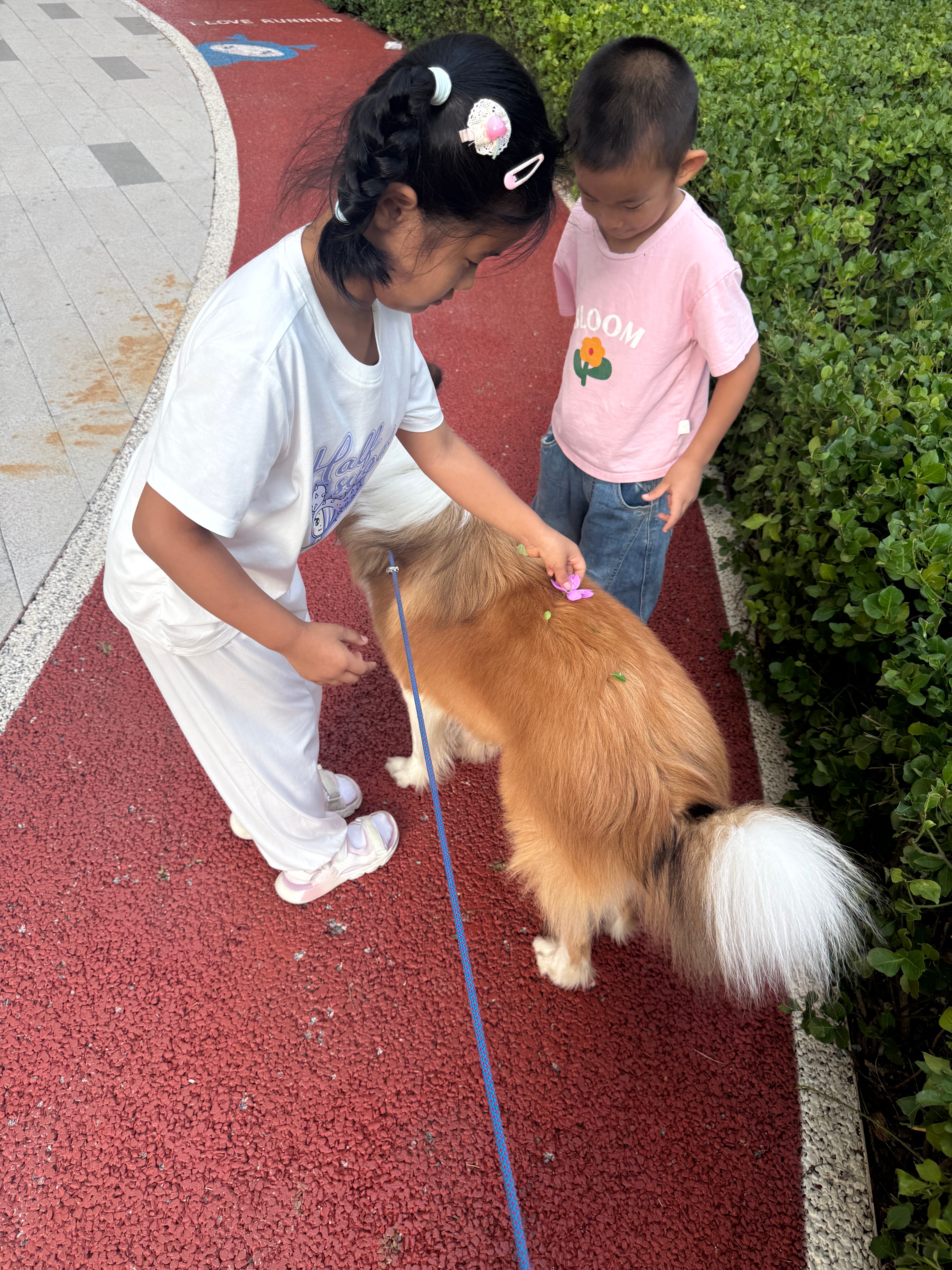 小狗今天也恪尽职守，好好带娃。 ​​​