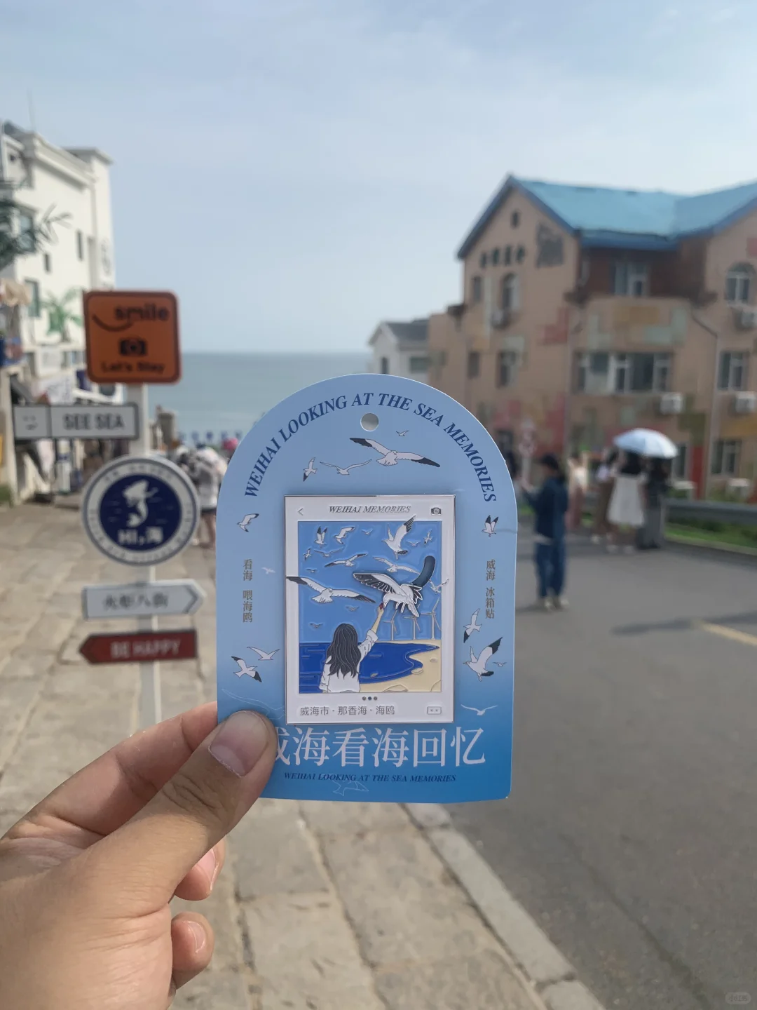 在火炬八街买到了那香海海鸥冰箱贴