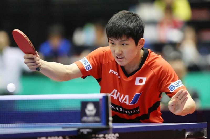 王楚钦胜张本智和亚洲杯夺冠 王楚钦胜张本智和，亚洲杯夺冠
2月8号，第35届国际