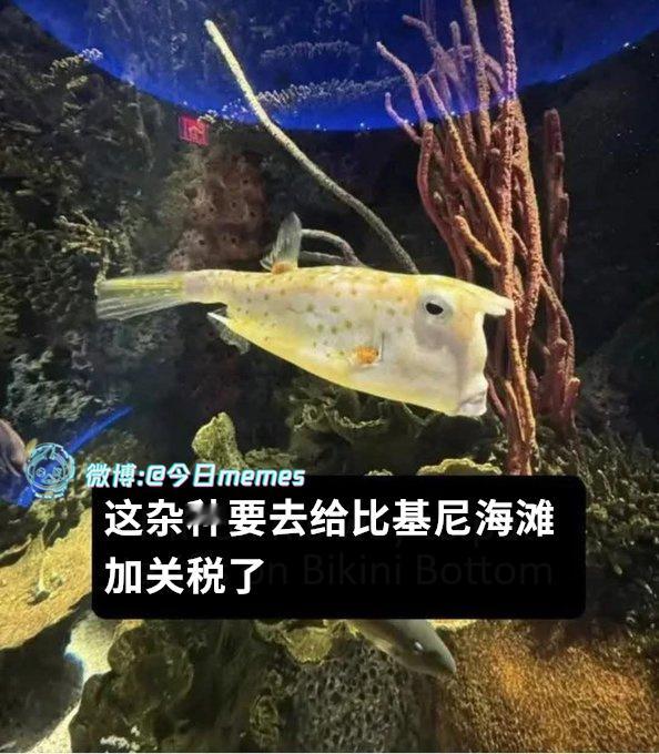 是你（9gag）今日meme 今日memes