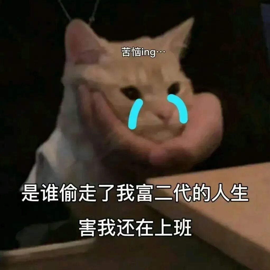 上班状态加载完毕，闲聊通道全部打开 