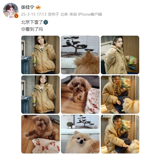 林北星下雪了  林北星下雪了，希望能够看到北京下雪的场景了呀，张佳宁跟大家分享了