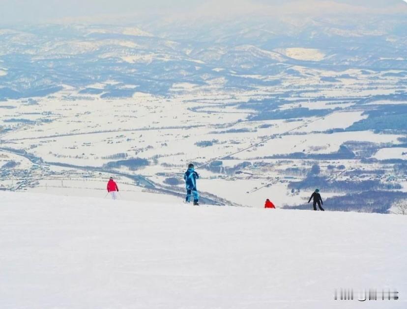 “中国游客近期退订约 50 万张赴日机票”，主要受日本首相高市早苗涉台错误言论引