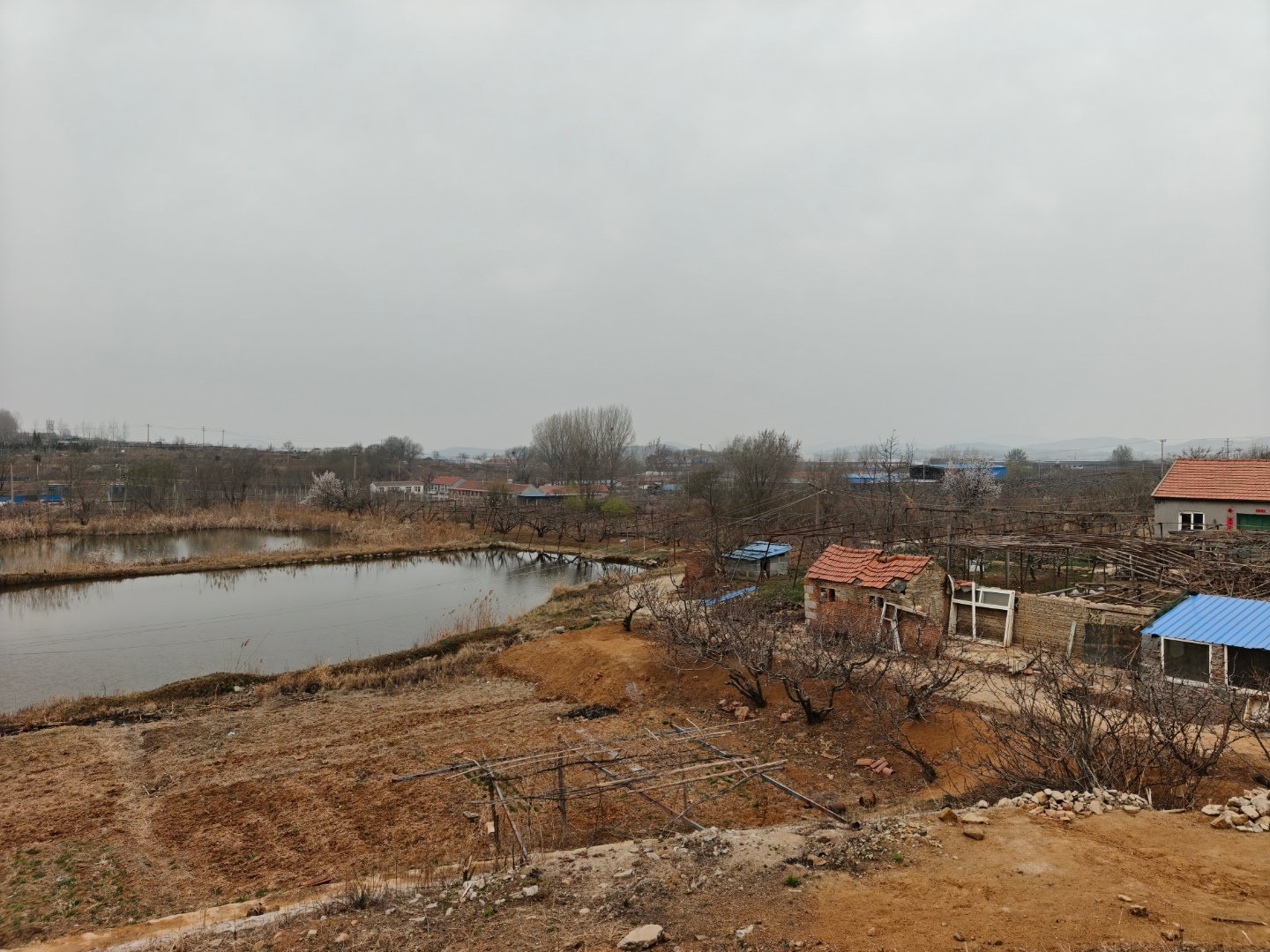 走出城市，走到田野。看树快绿了，花要红了。 