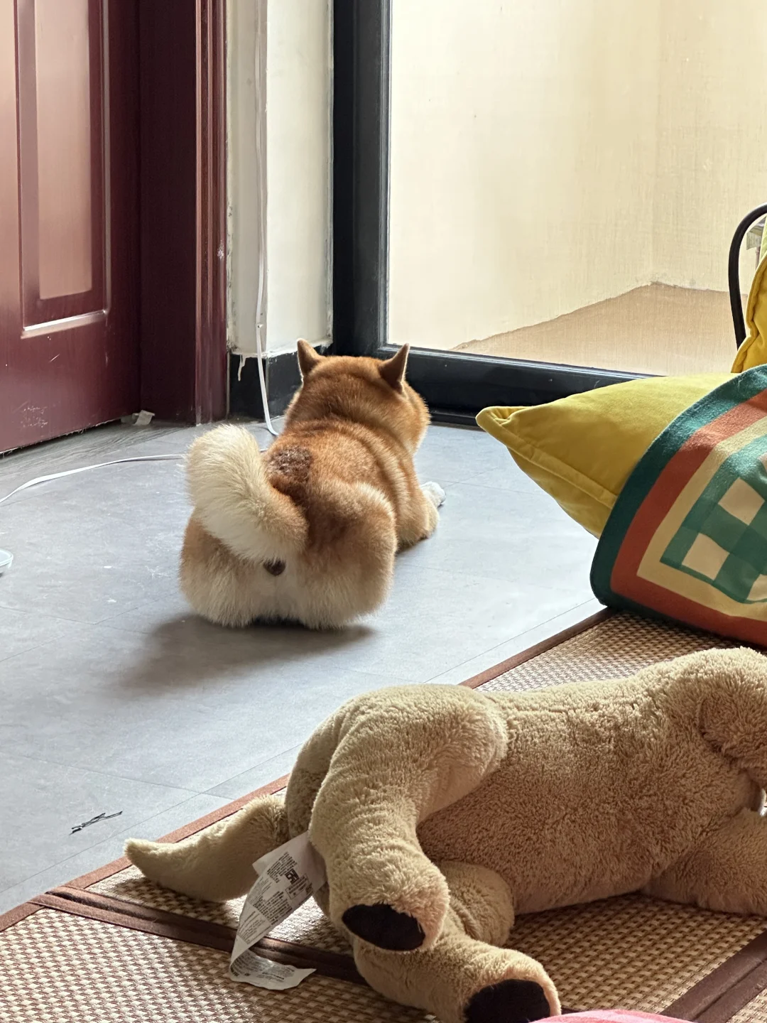 麻麻酱，什么时候才放晴啊😢