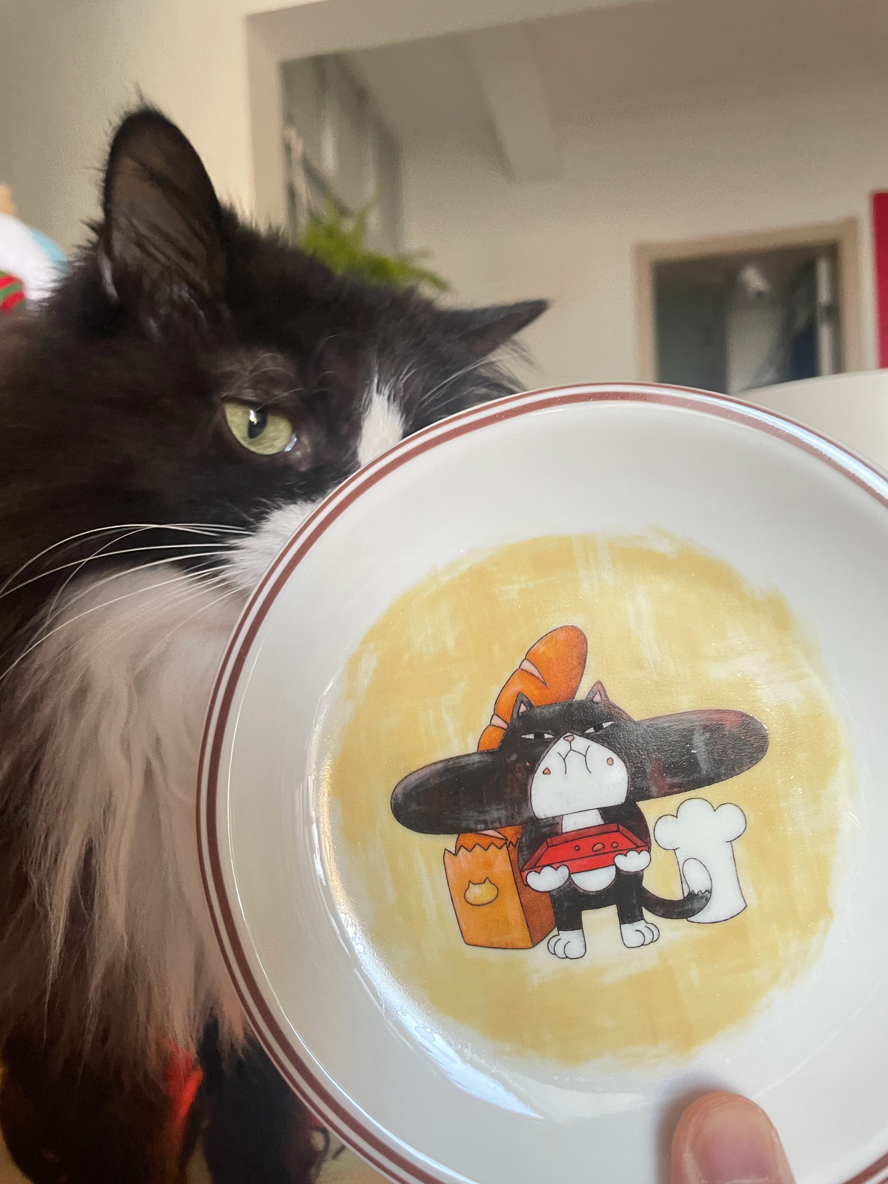 萌物 ​​​