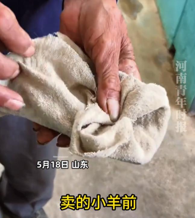2026年5月18日，山东一位84岁老人的视频在网上悄然走红，没有华丽特效，没有
