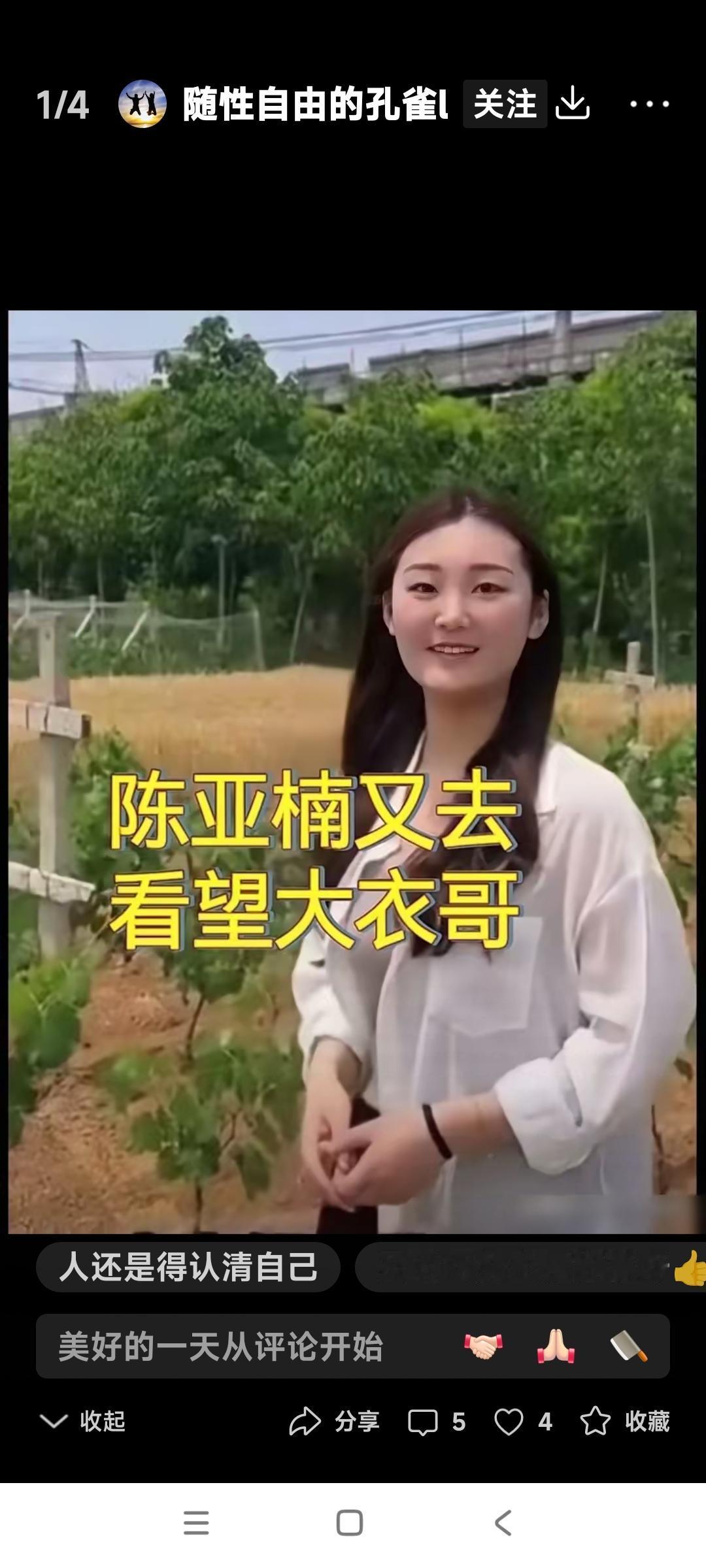 陈亚楠现在有点儿走投无路，没有招了。

还得求她前公公朱之文来帮忙。

不是让朱