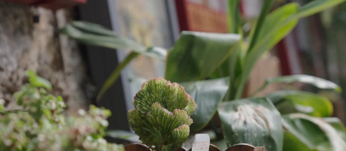春风十里昆明有你凡人微光聚春城我就是滇风【荣誉是时间的答案，但幸福是每一天的答案