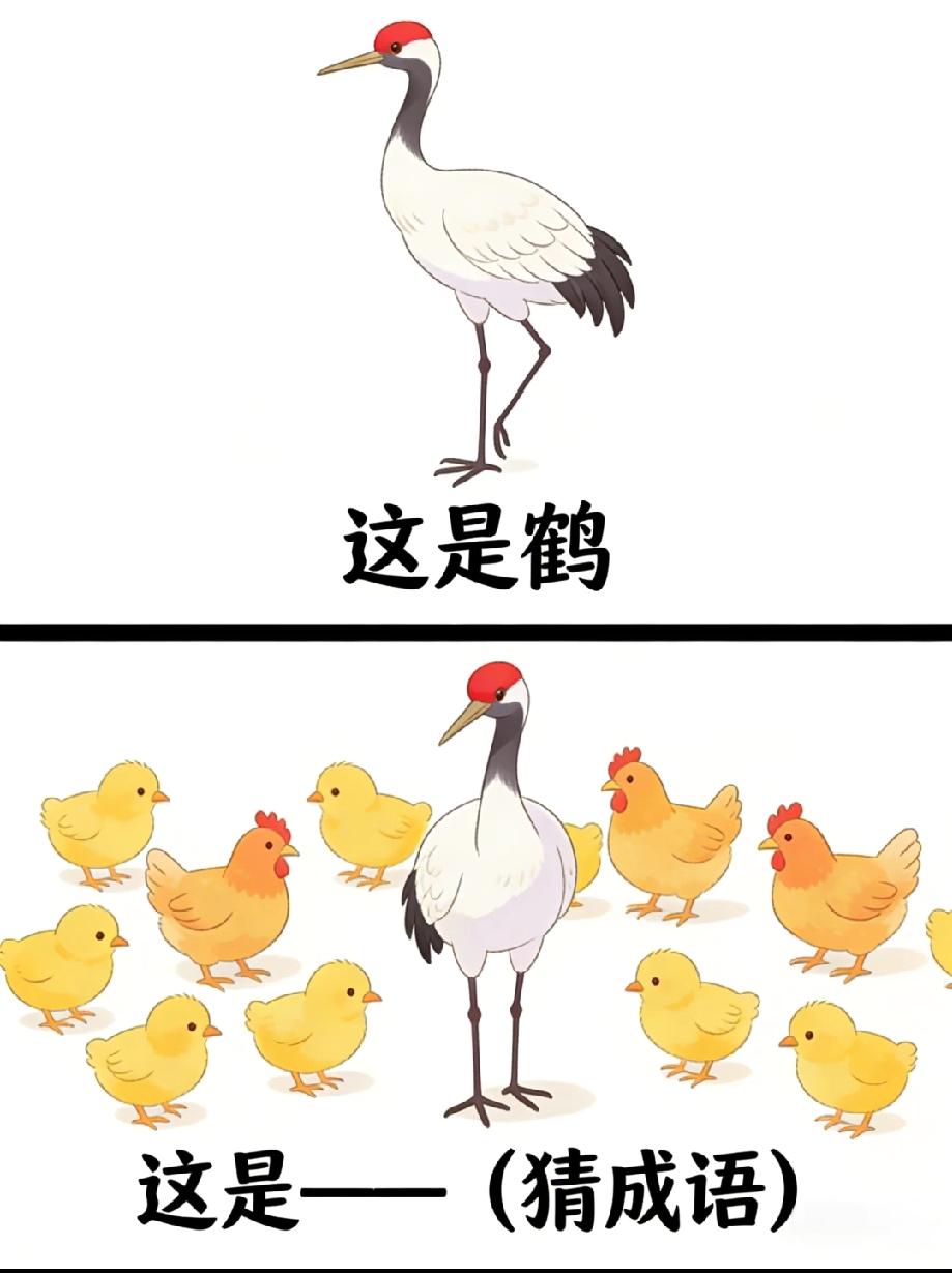 鹤站在鸡群里，是什么成语？评论区秀出你的智商！