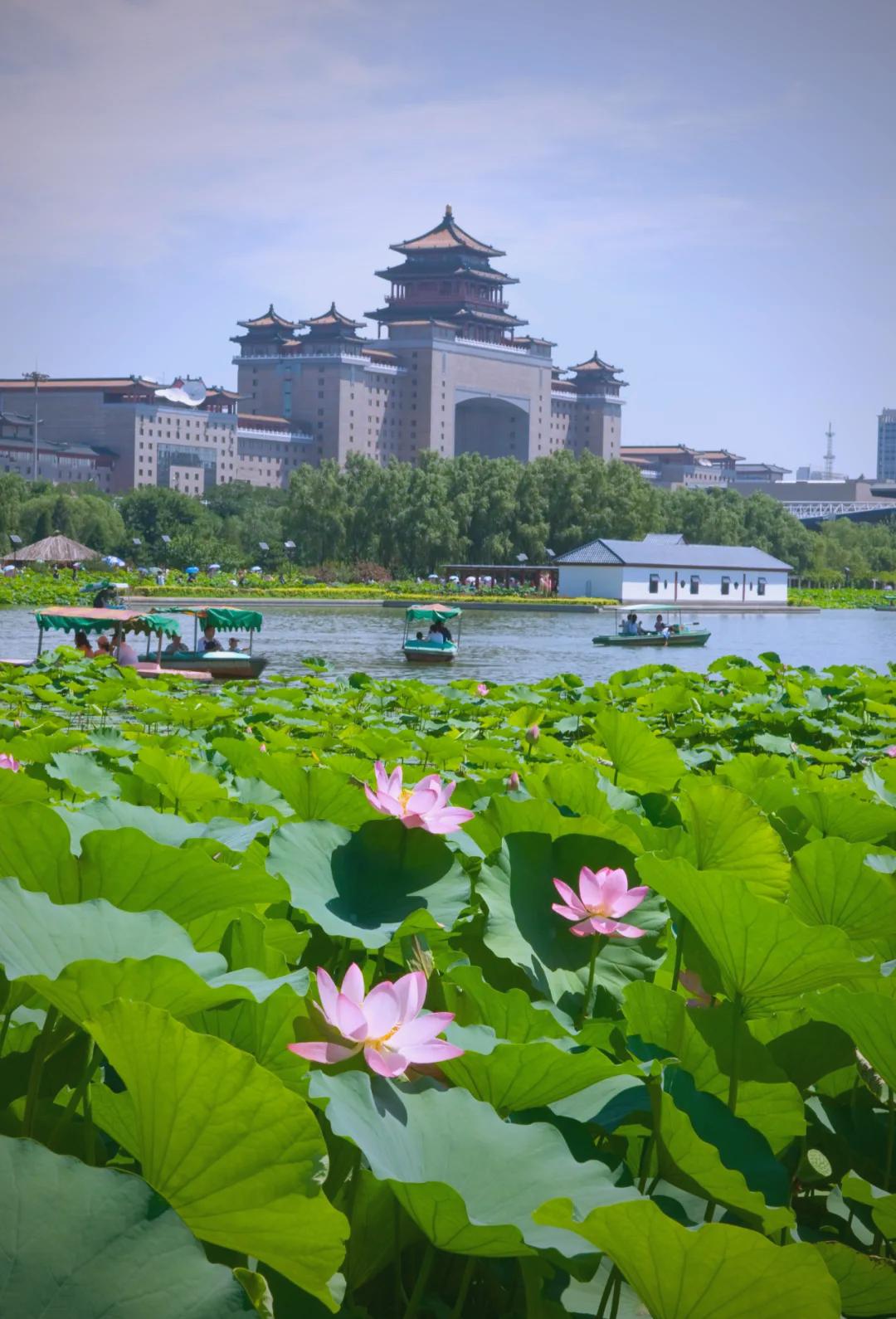 随手一拍都很美