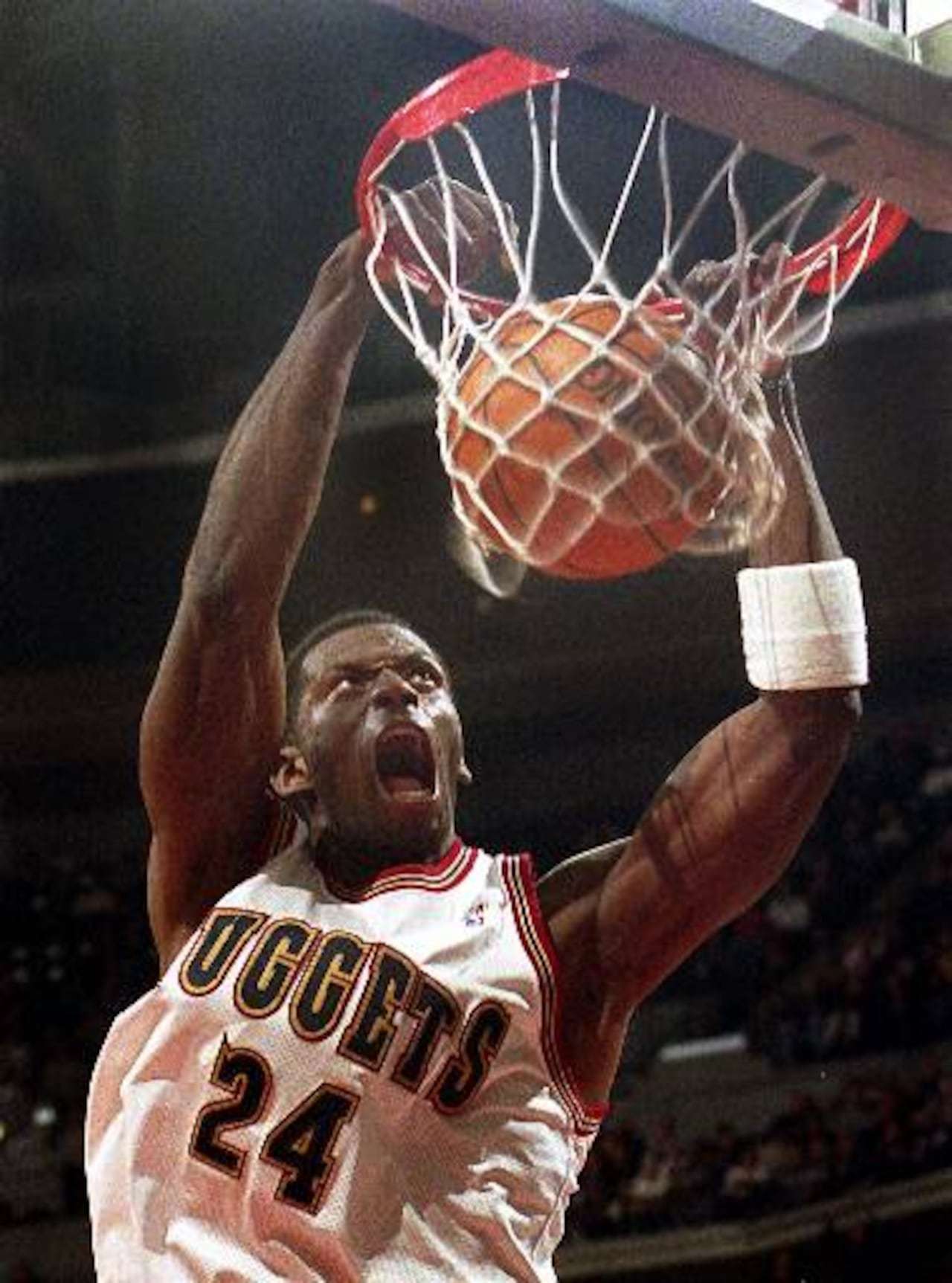 Antonio Mcdyess 