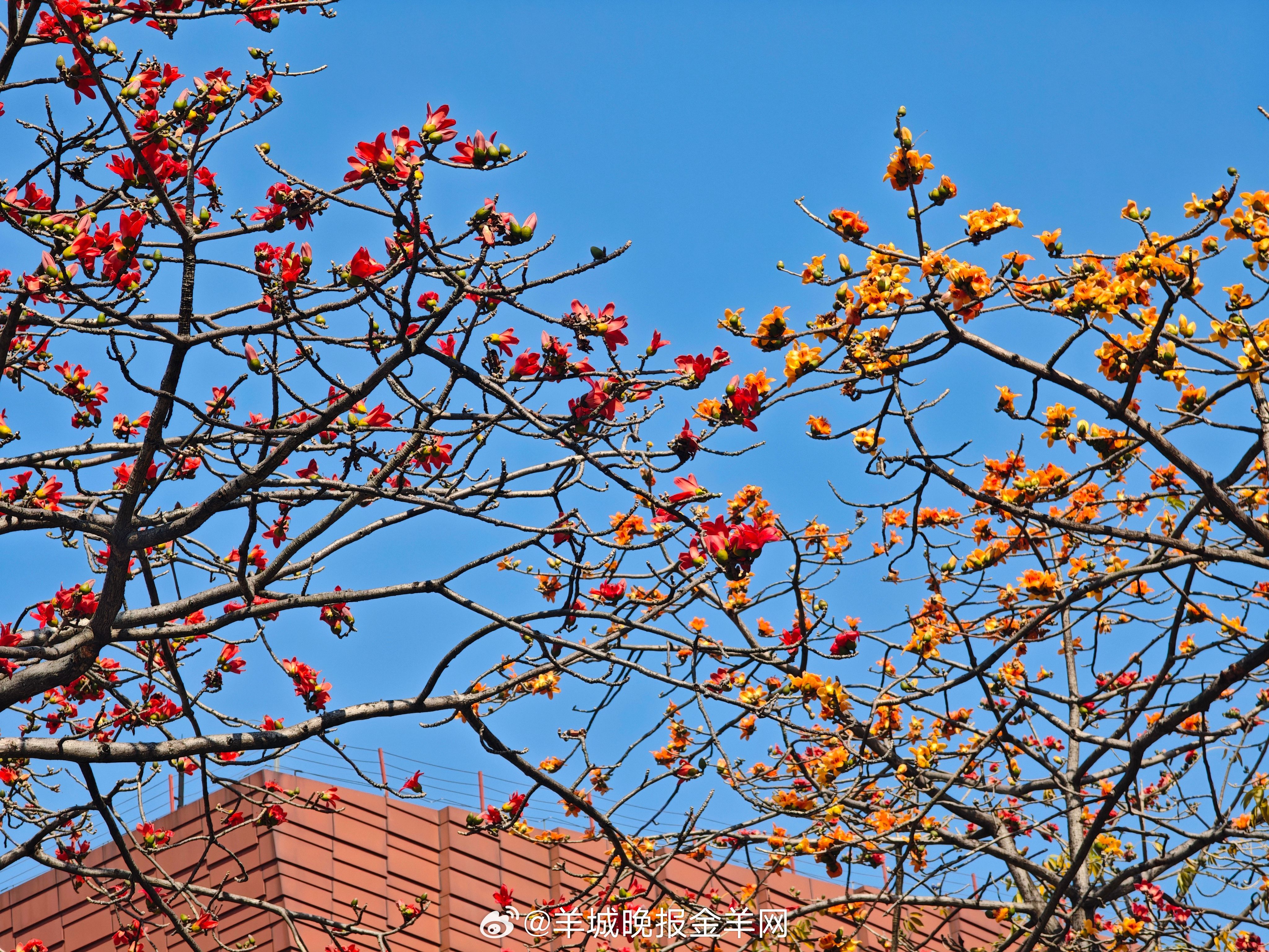 #早安#心态积极的人，总能把平淡的生活过成诗。无论你正面对怎样的困难，保持乐观向