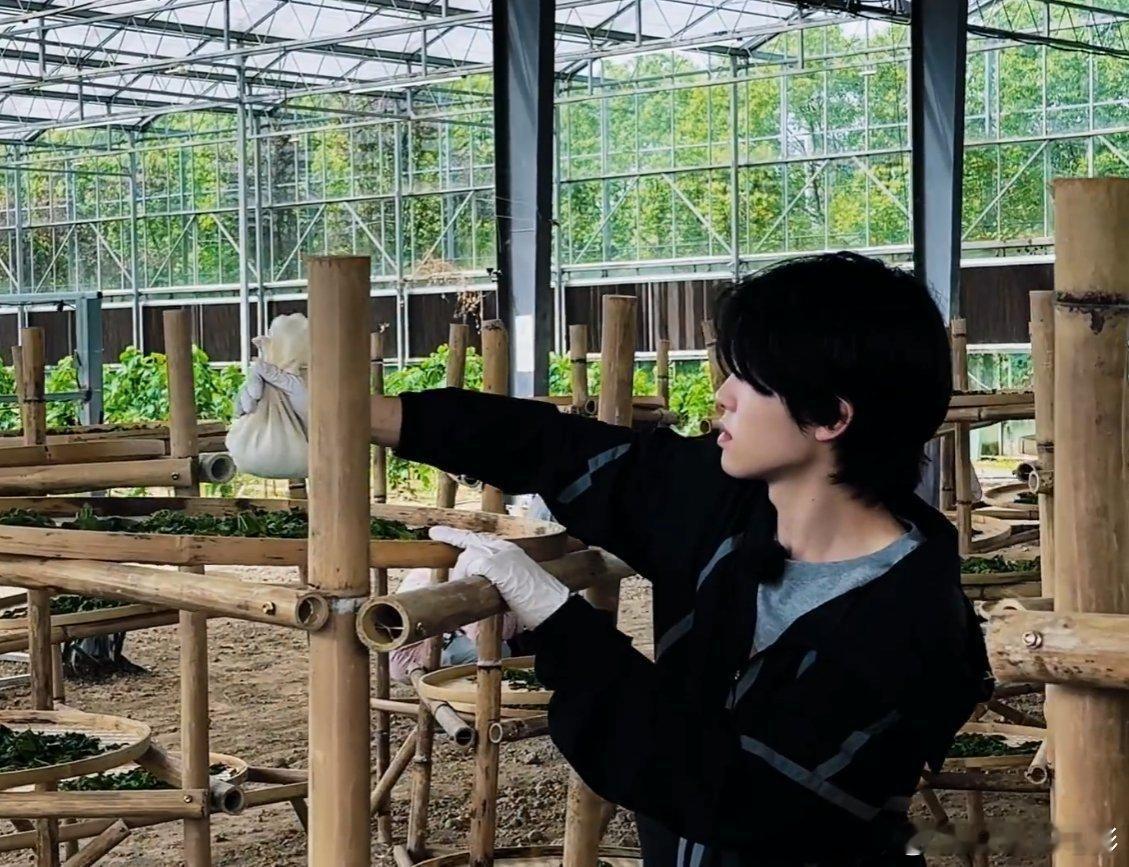 李昊日更vlog博主李昊猛男养蚕更新利好：日更vlog博主说更就更！猛男养蚕连更