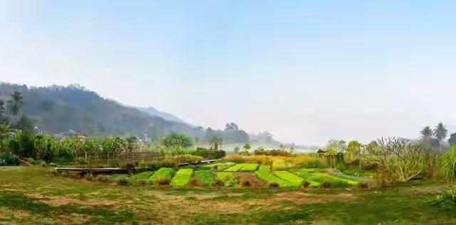 25岁姐姐带瘫痪妹妹嫁39岁穷工友，三人挤破屋共熬20年，如今儿媳一个举动让全村