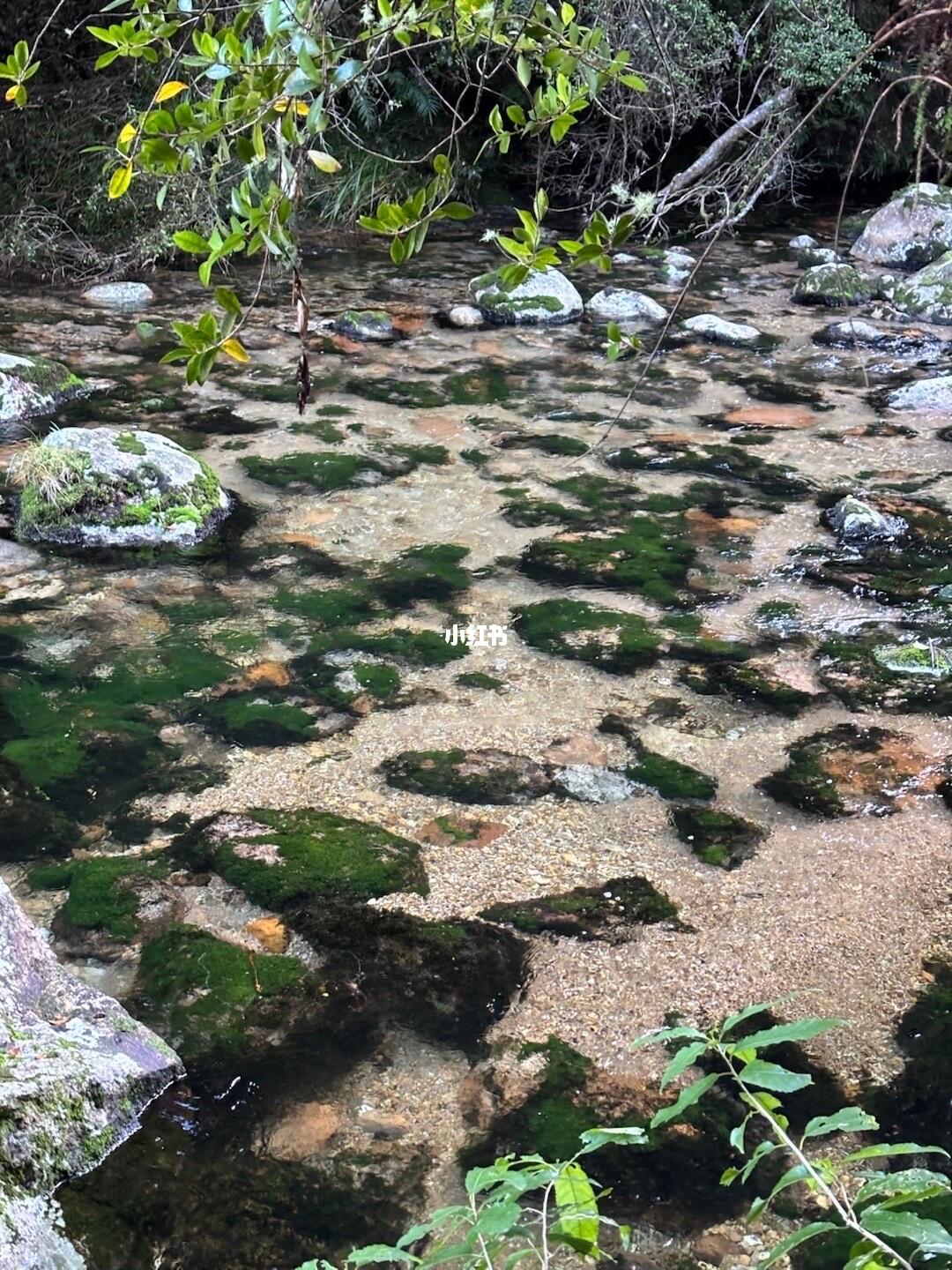 超清澈的河水