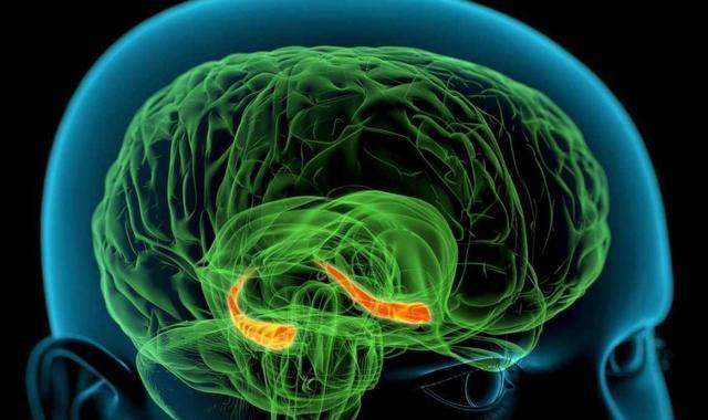 如何看待机器人“霸屏”春晚 2026年春晚机器人“霸屏”，这波操作简直太惊艳！它