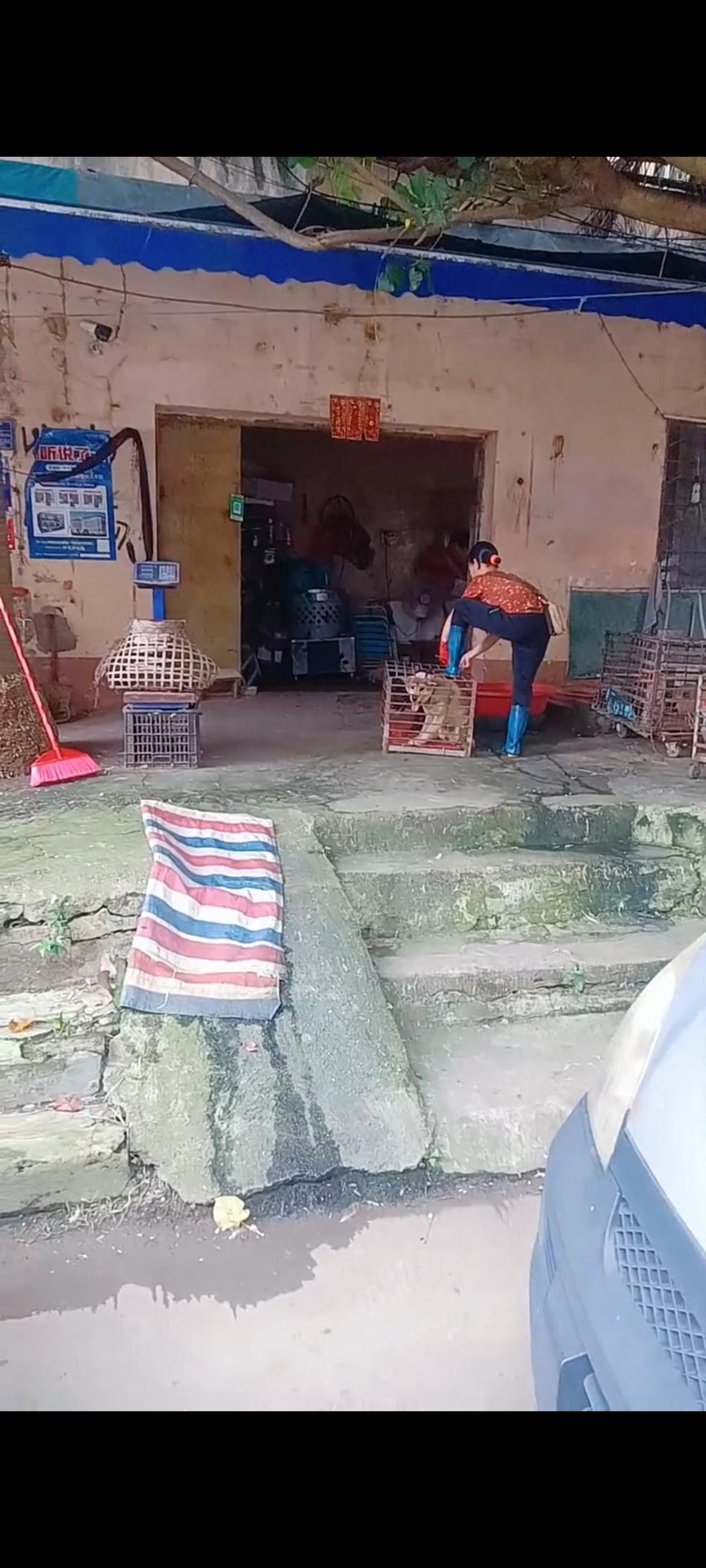当面前的老板娘熟练的缓慢解开绳锁的一刹那，这证明今天又有好几只狗狗，被她们给无情
