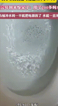 离家17天，智能马桶狂冲200吨水！真相太离谱
 过年出门旅游本是开心事，河南洛