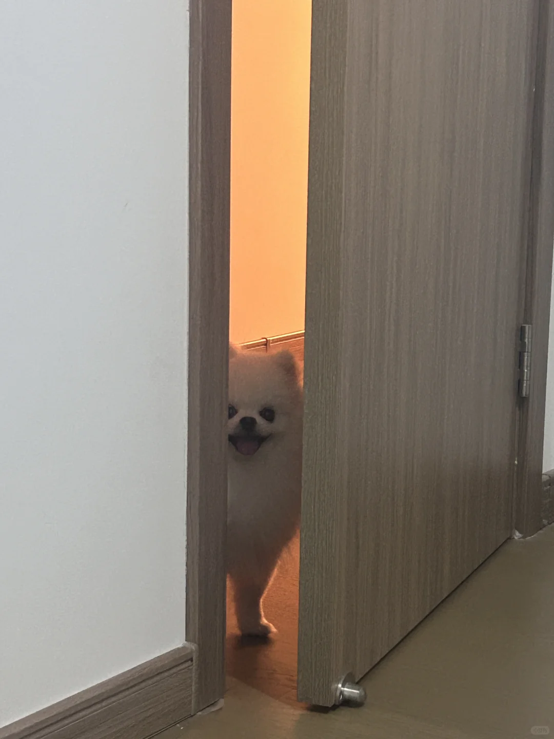 歪 开门呀