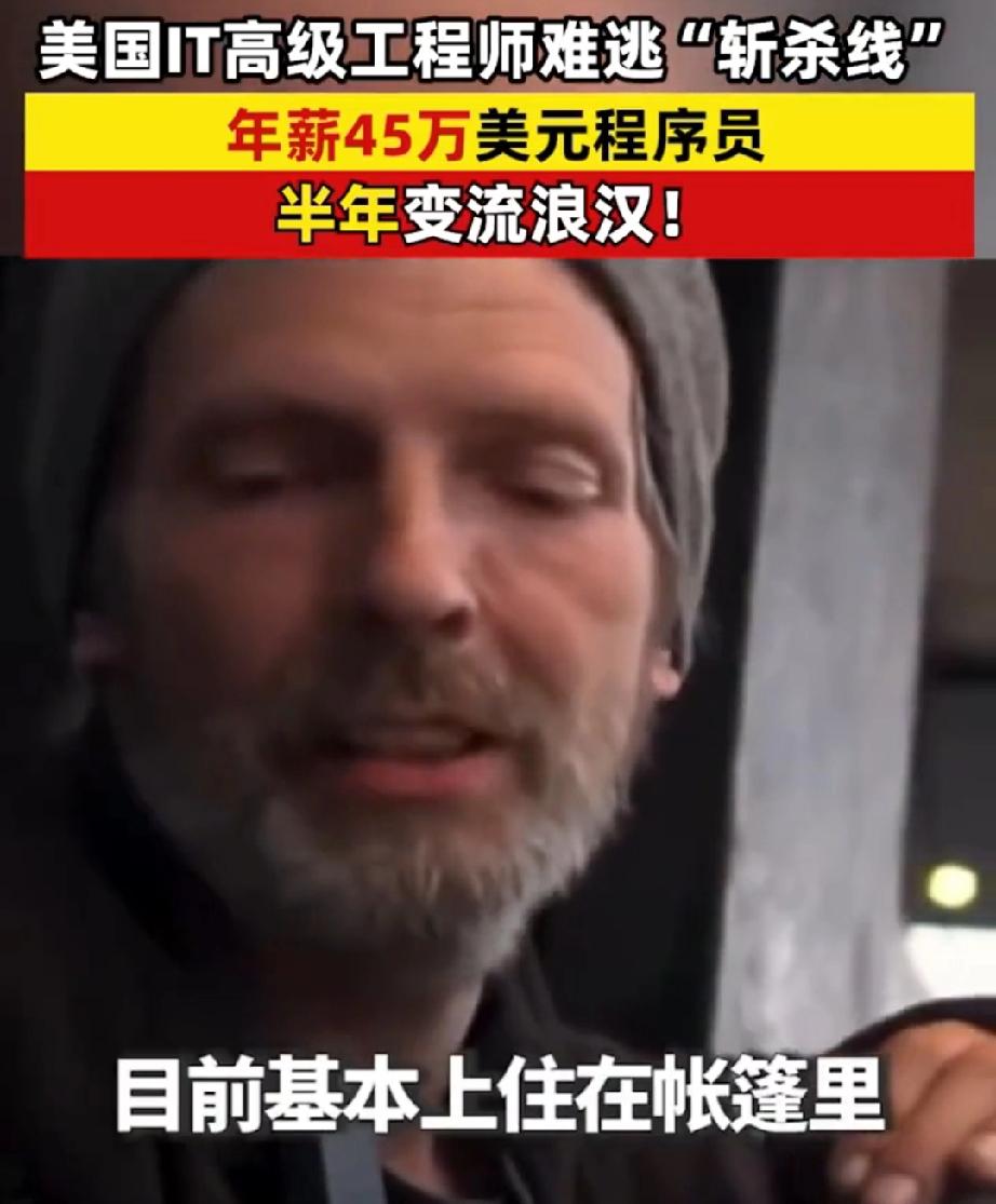 David chen在美国Mate担任高级工程师，有着不错的收入，年薪45万美元