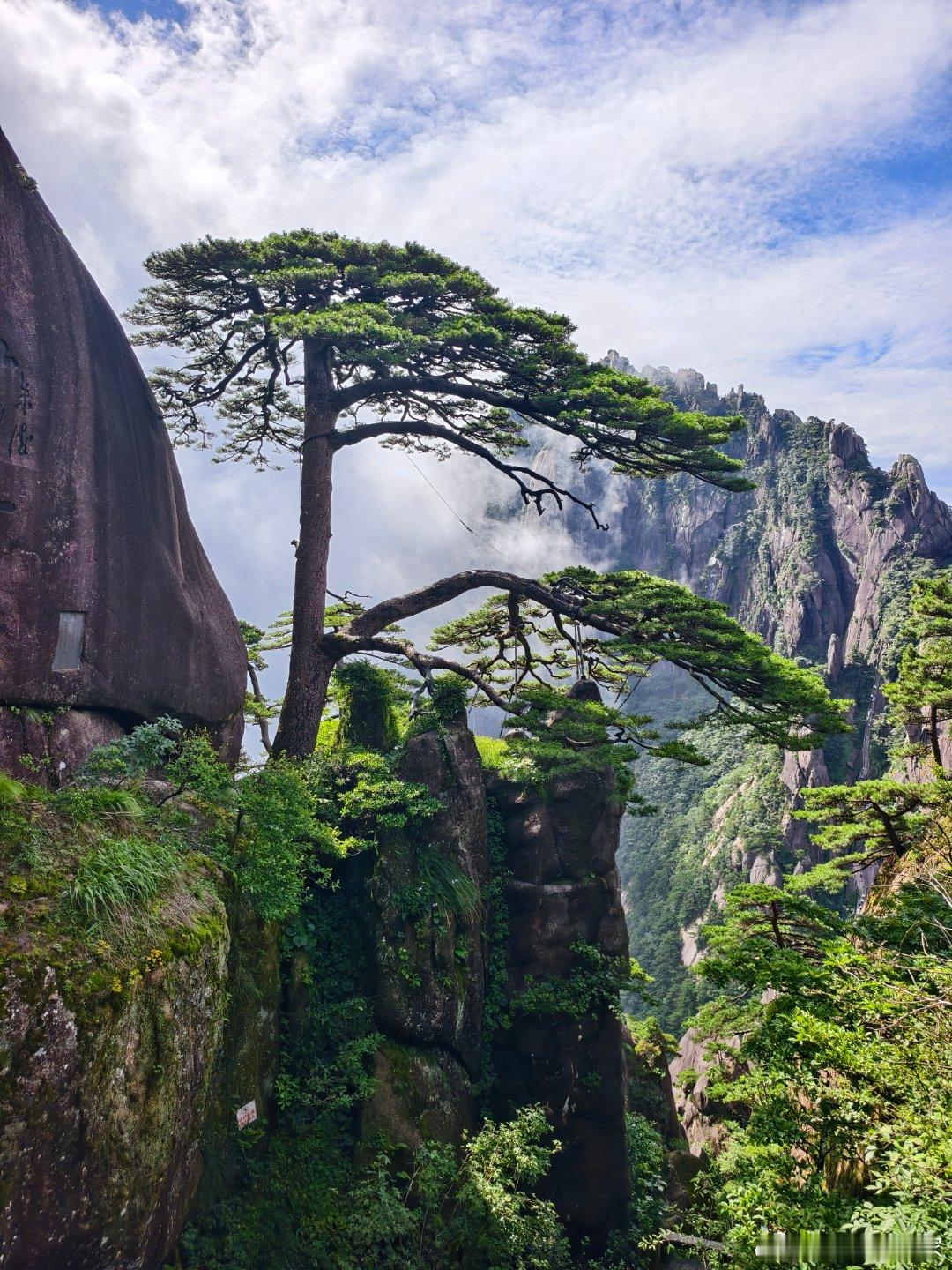 明天封山，就这么巧… 