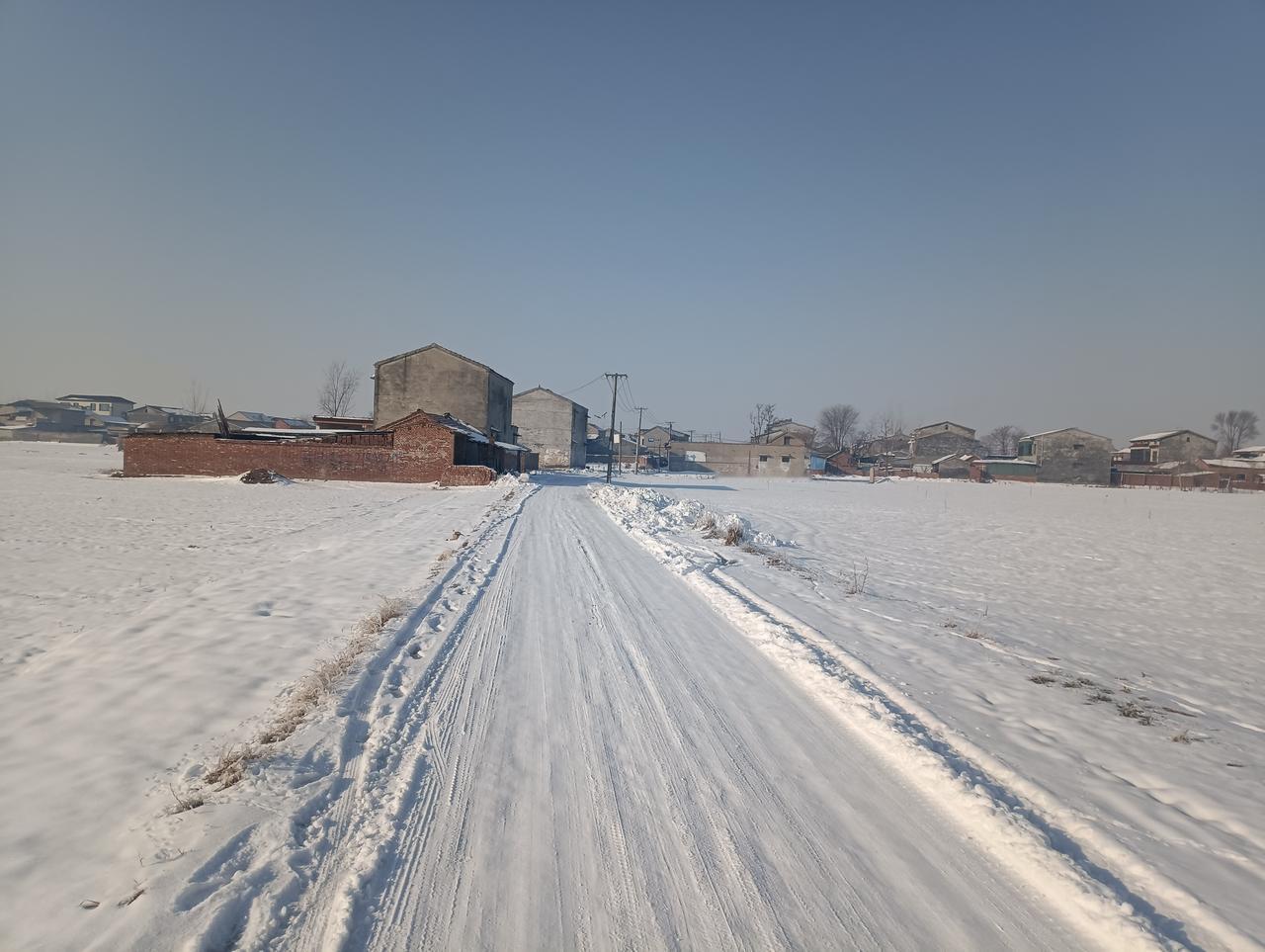 一场大雪，豫东老家美得像一幅画。
    站在高楼的阳台上，泡杯红茶，举目眺望，