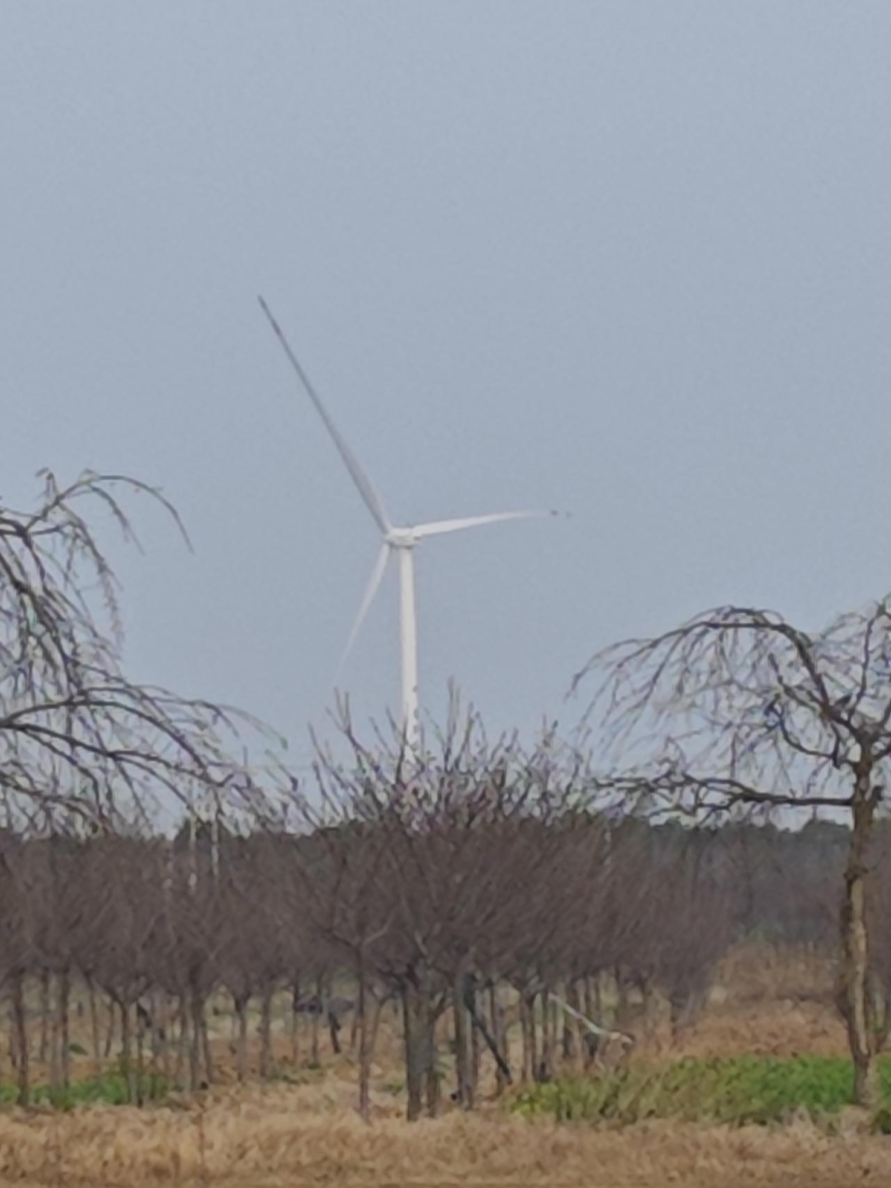 职称评审的论文要求有哪些？

一、核心政策（2026最新）
  破四唯、代表作制