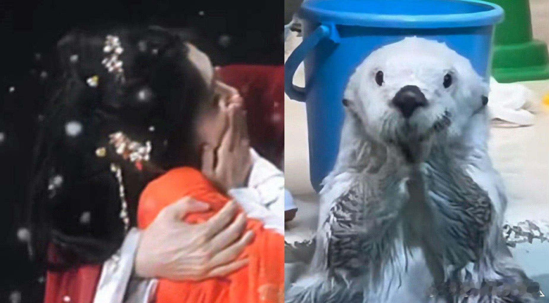 内娱第一个水獭塑女主 是谁想出来把王影璐水獭塑的，这也太贴合了！！在《献鱼》里眼
