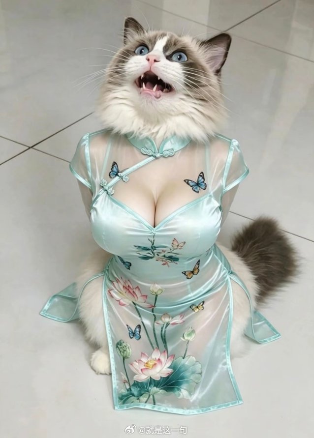 人靠衣装马靠鞍，猫猫穿上也爆燃