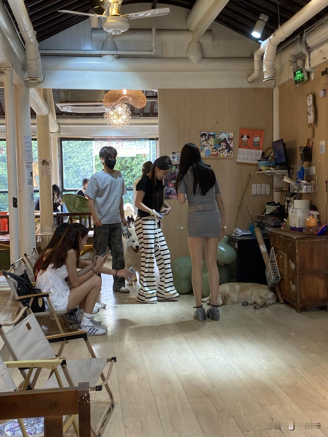 带着宝宝去平江路宠物乐园撸猫撸狗一小时，有好多小姐姐在里面玩得好开心🥳
晒图笔