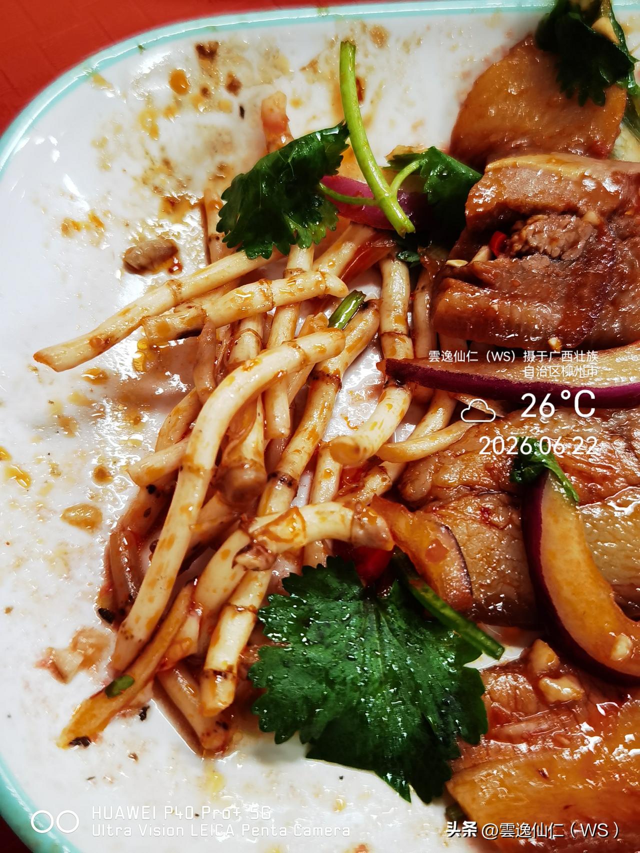 月居生活记录（9971）广西壮族自治区柳州市（8）品尝小吃3：自助快餐（13.2
