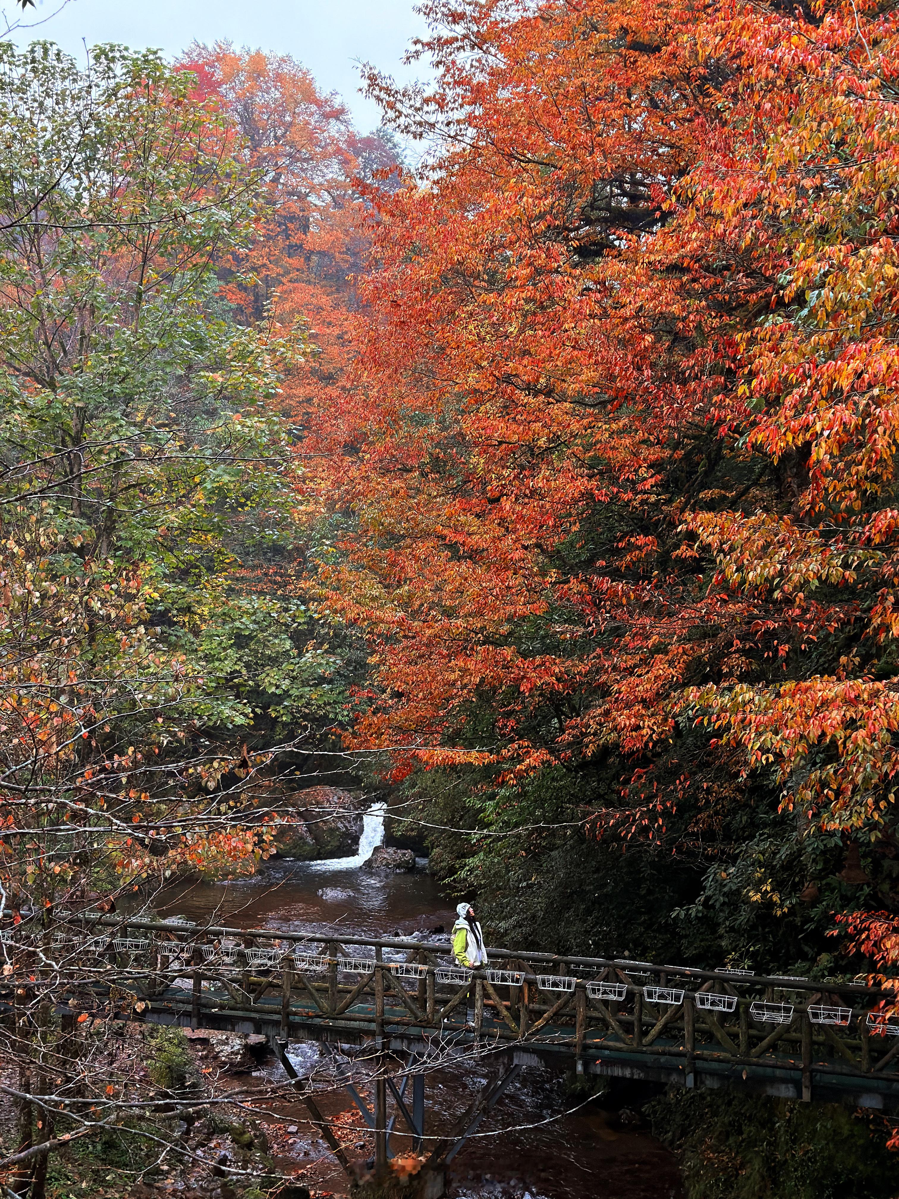 婚礼一周年在海边，婚礼两周年在山间。好美的秋色🍂 
