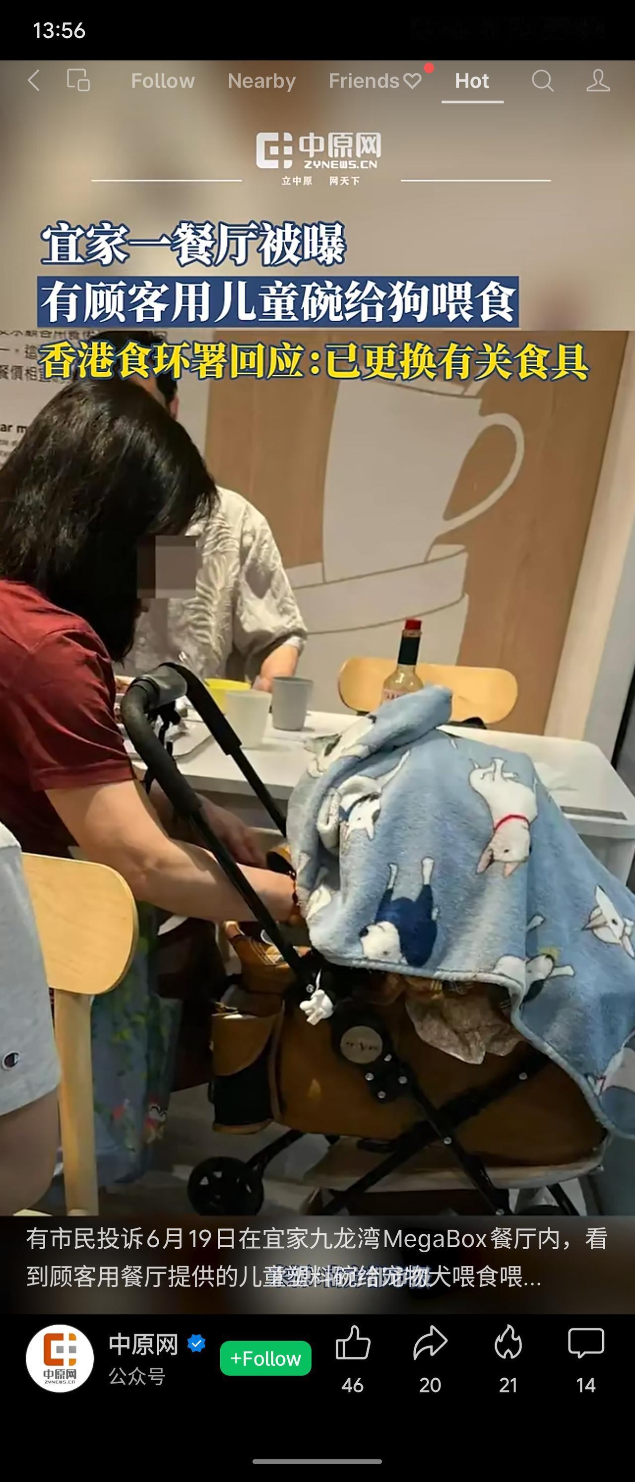 香港宜家九龙湾MegaBox餐厅被曝顾客用儿童碗给宠物犬喂食，违反《食物业规例》