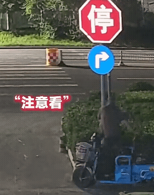 我以为是不服路牌了，原来是个贼！[捂脸]
