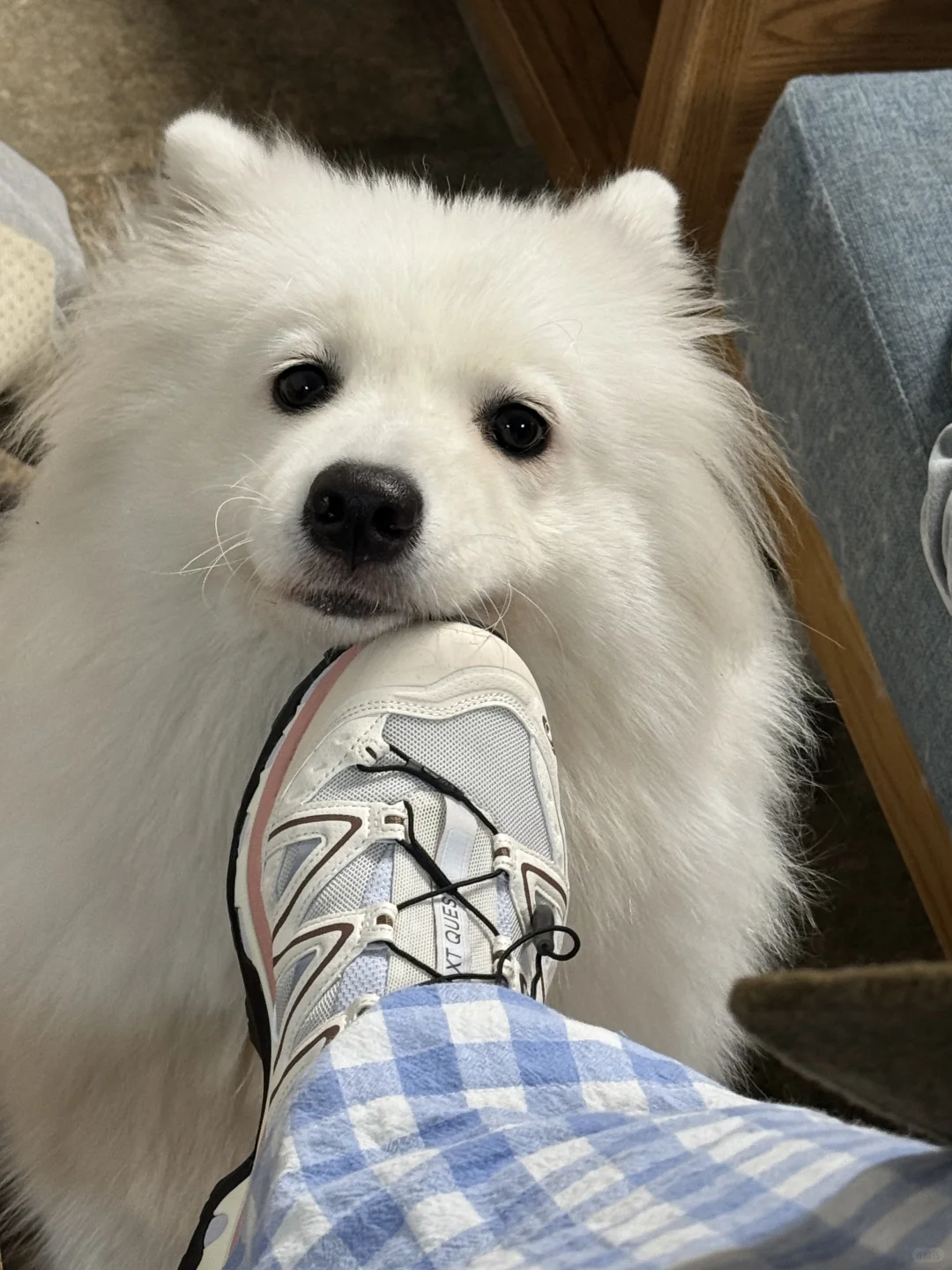 挑逗耶耶