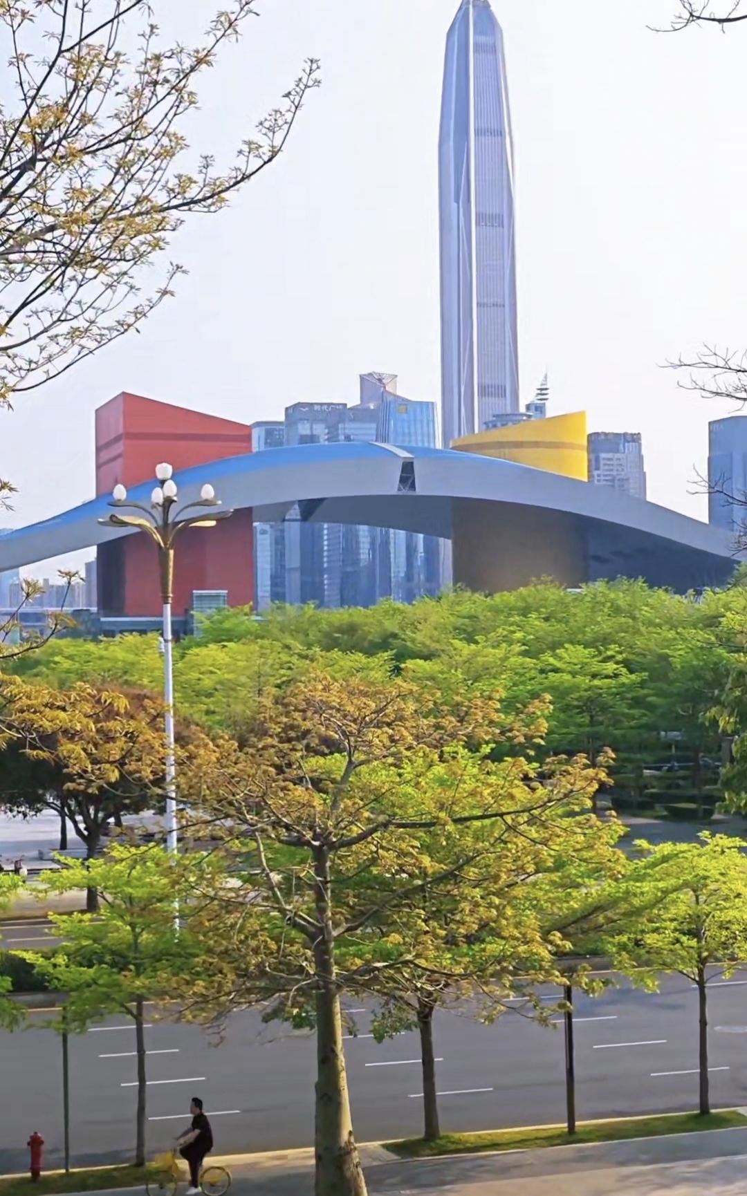 全国绿化最好的CBD，感受一下深圳中心区的春意盎然。这些年，我基本走遍了中国大城