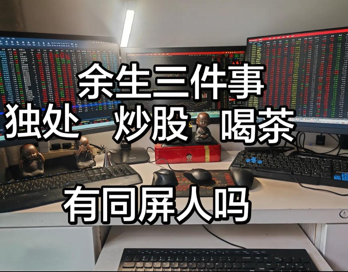 余生三件事：独处、炒股、喝茶。这简直就是当代股民的终极浪漫。

这应该就是很多资
