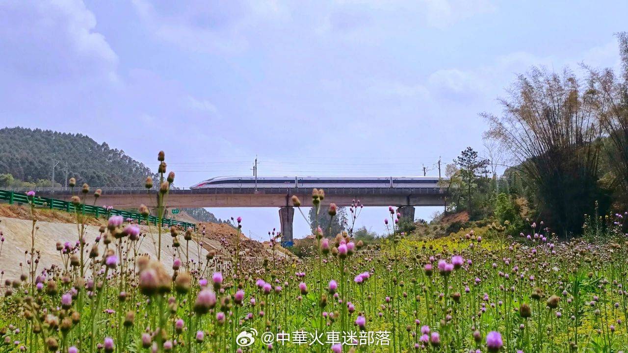 铁路,晚安 但愿我们都能够披荆斩棘，活出自己想要的样子，晚安~ 