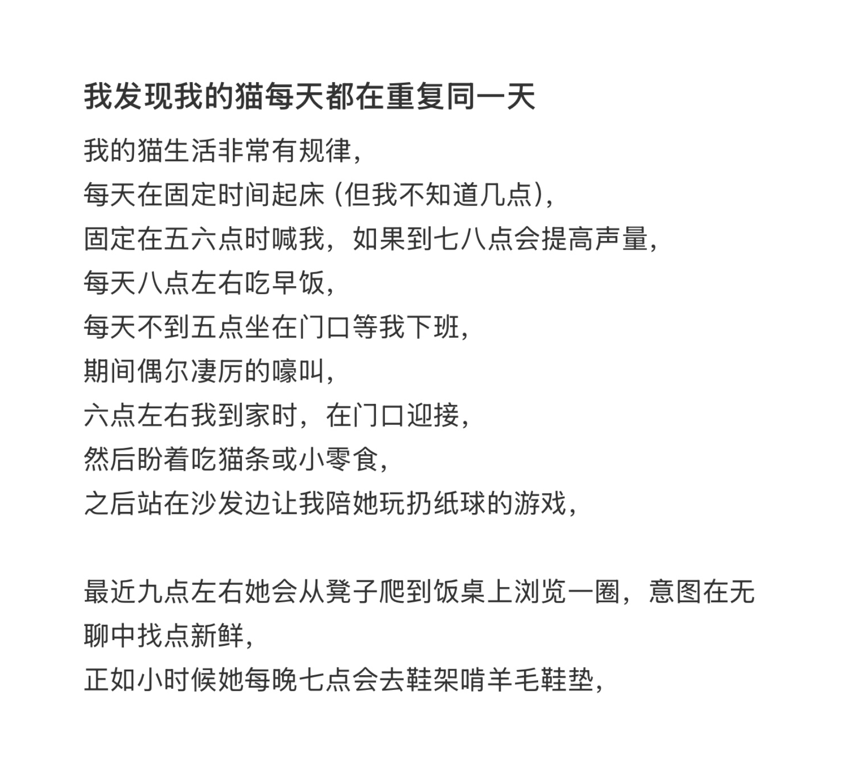 我发现我的小猫每天都在重复同一天[苦涩] ​​​