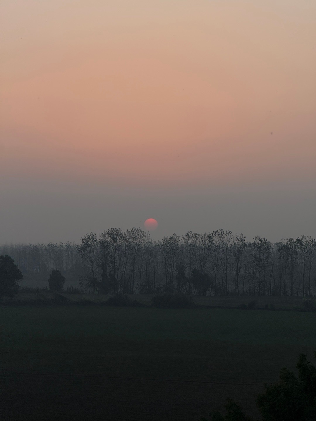 始终欠自己一个该有的样子，拥有更多的选择，而不是妥协，一路磕磕绊绊轻描淡写已经成