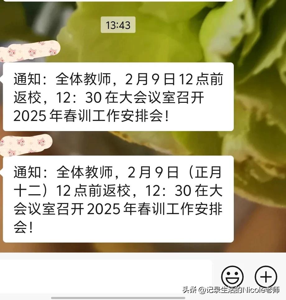 春训工作安排会通知📢2月9日12点前返校！