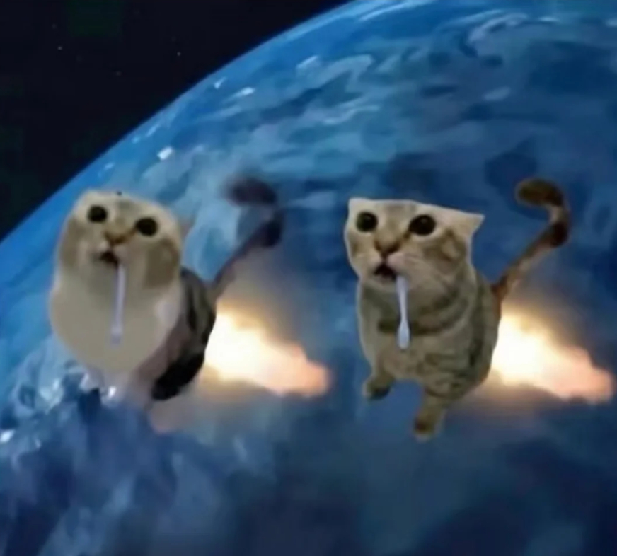 这个世界总有人在很轻易的破防 