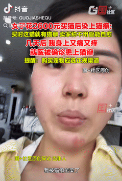 这下悲剧了！浙江嘉兴，一女子花2600元买了只猫，拿到手后发现猫有猫癣，可卖家却