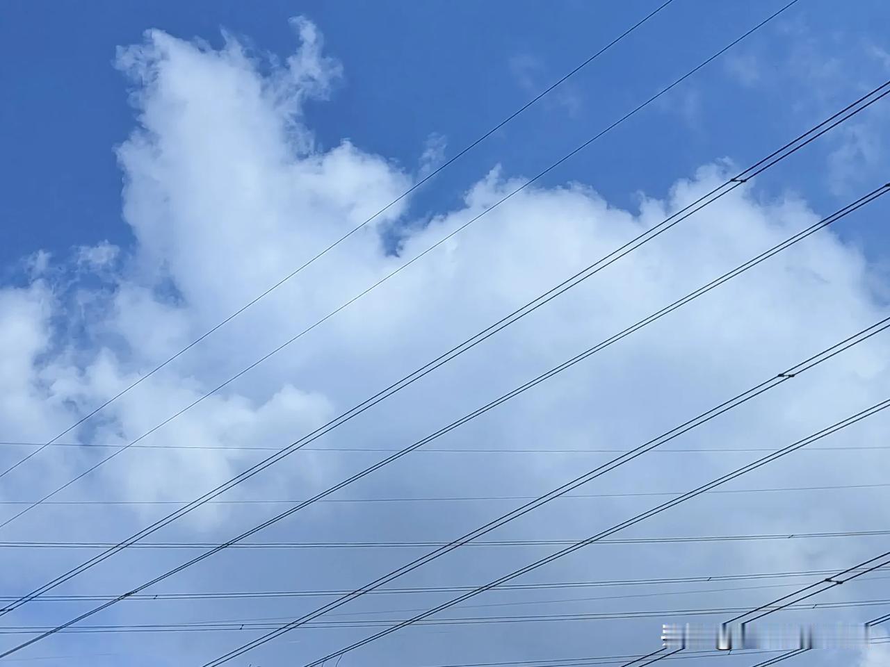 深圳的天空。
#分享一张天空美照##秋日生活打卡季# #随手在公园拍下的景象# 