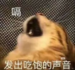 新疆也太好吃了，感觉在这呆一个月回去会胖十斤每天都是这样的👇🏻 
