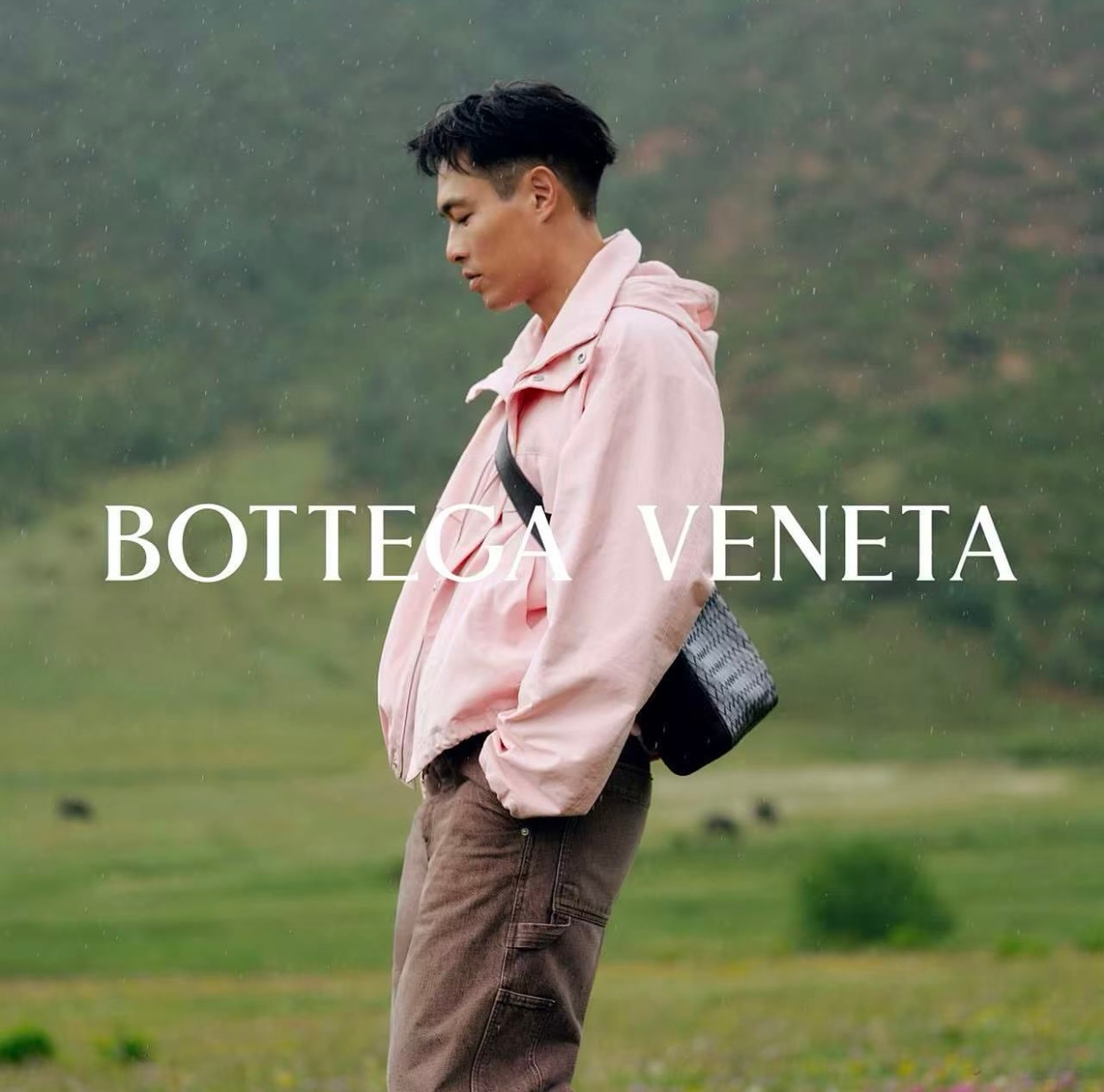 杨祐宁✖️Bottega Veneta ​​​