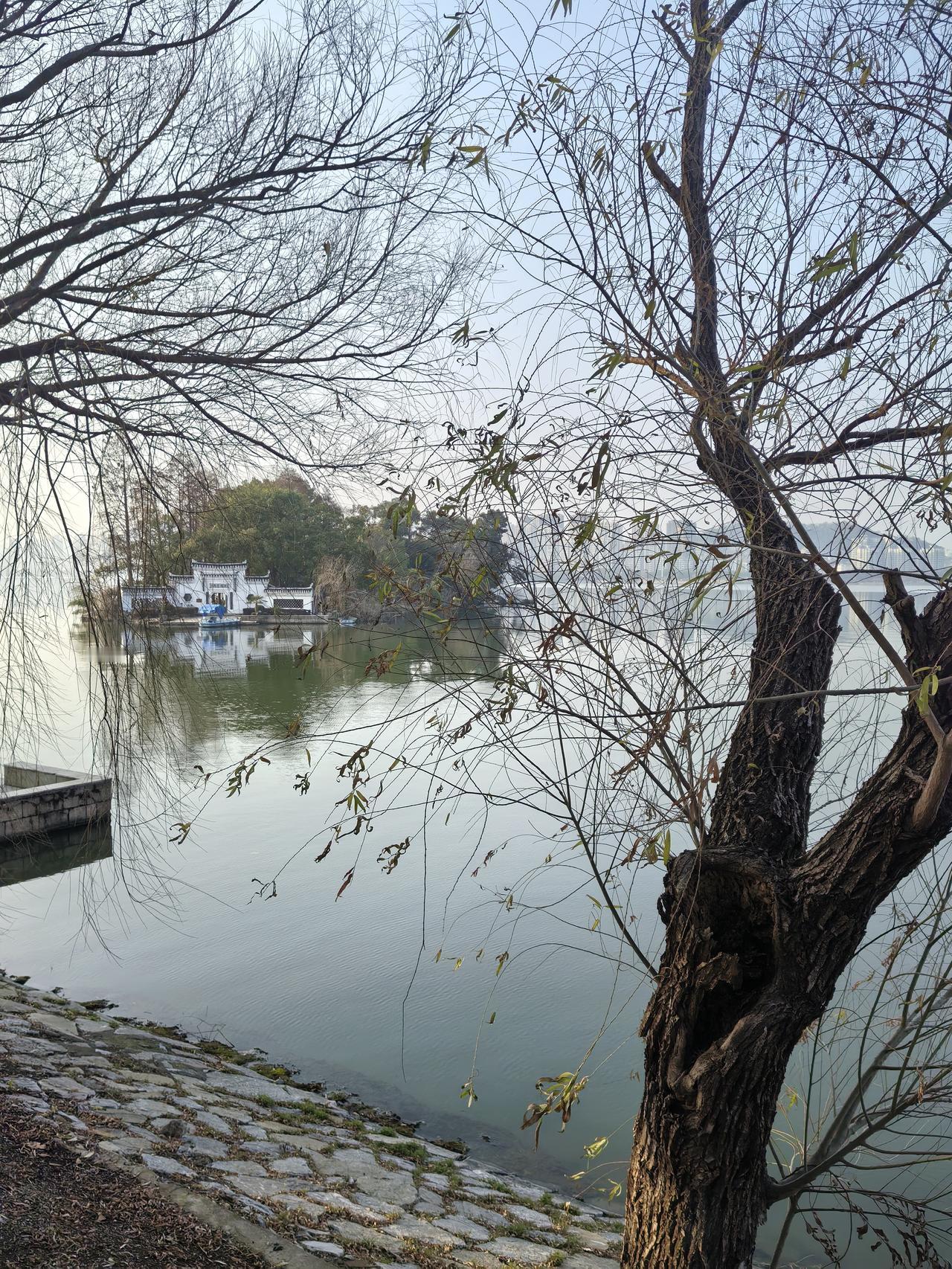 晒图笔记大赛 参加个晒图笔记大赛，给大家分享黄石磁湖一角。
那天去磁湖，有个小角